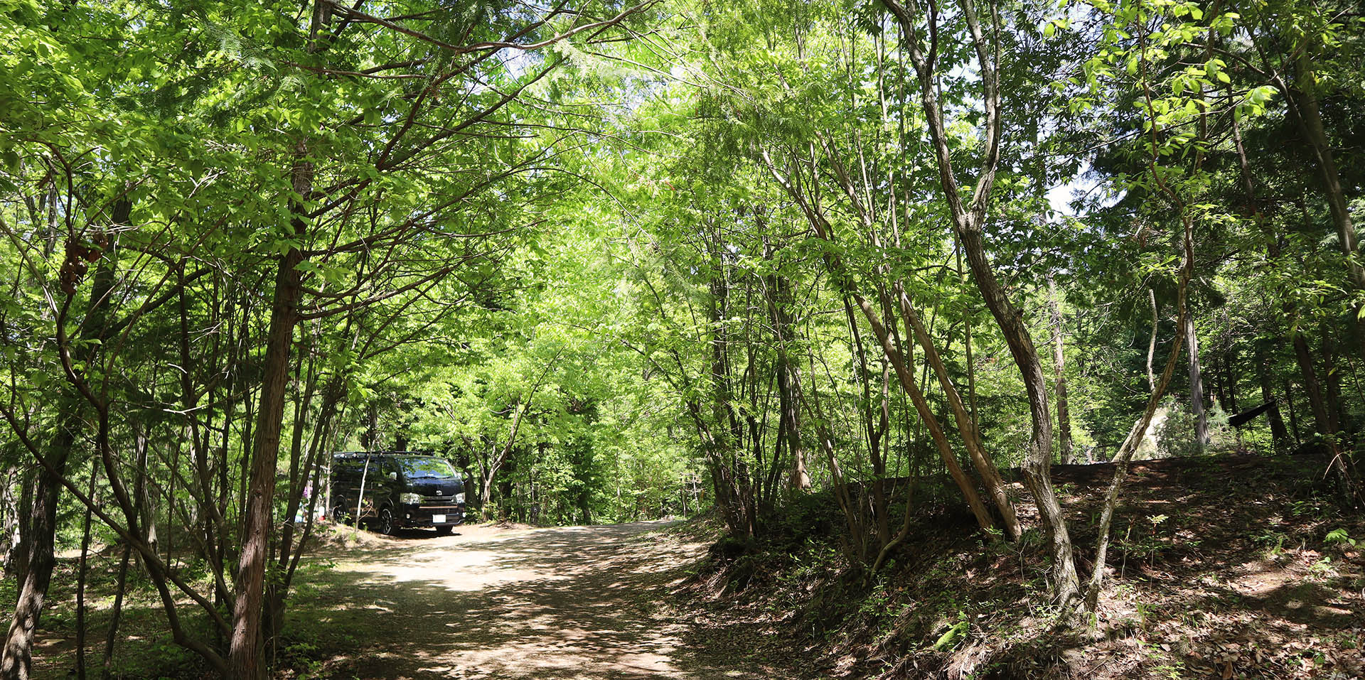 林間サイトの様子