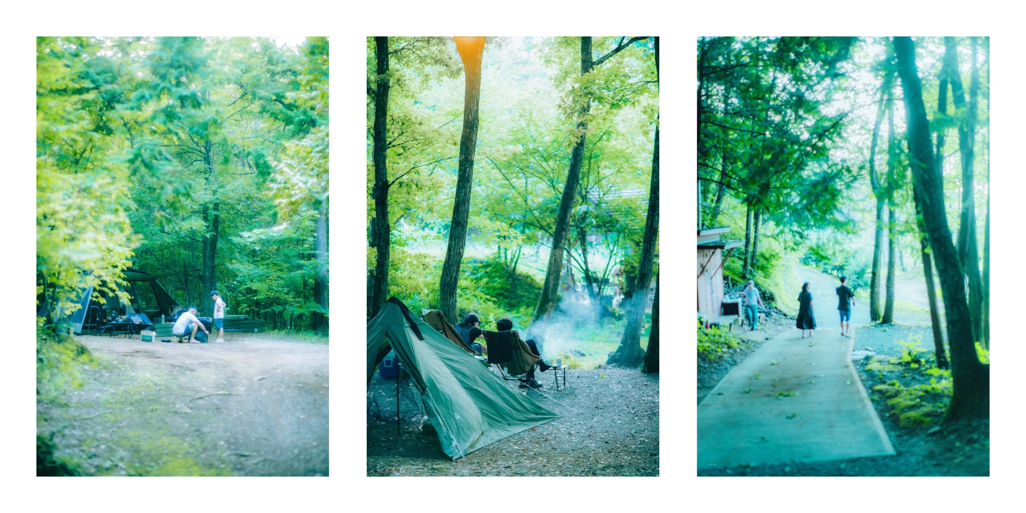 林間サイトの様子